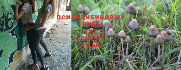 бошки Алзамай