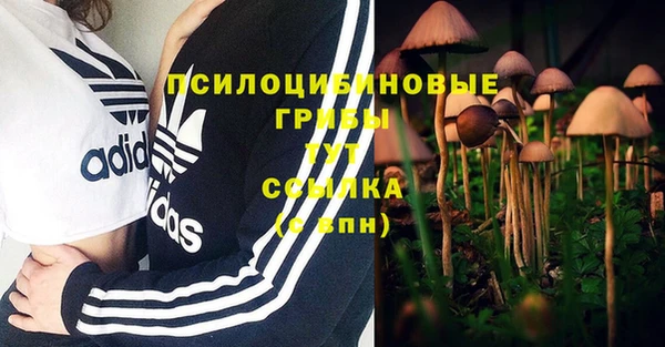 гашиш Алексеевка