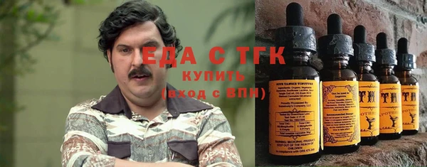 мет Алексин