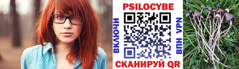 kraken ONION  Пролетарск  Псилоцибиновые грибы Psilocybe 